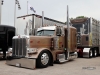 Peterbilt49
